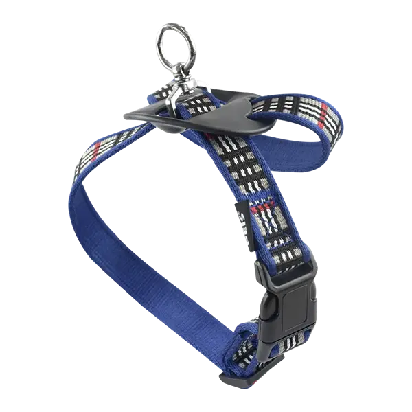 Arnés Berrydog Azul | Fancy Pets