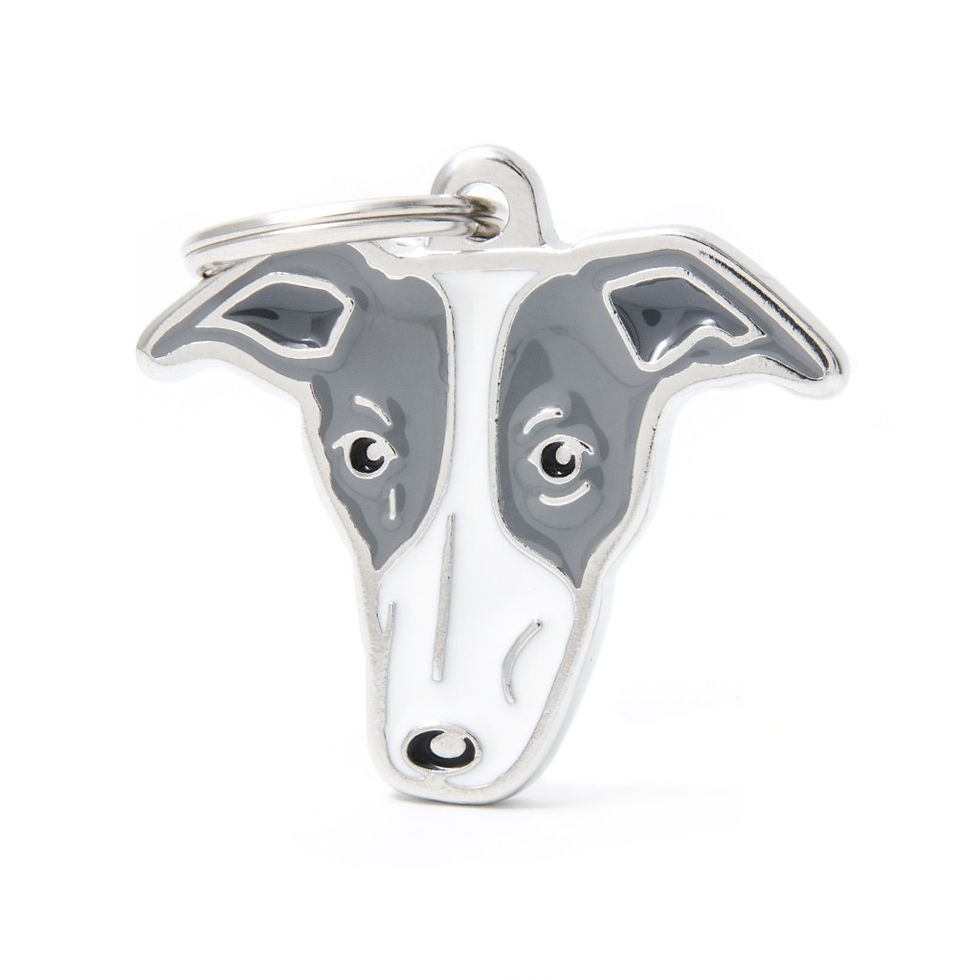 Placa de identificación Whippet | My Family