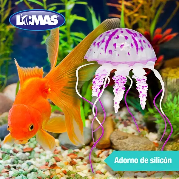 Miniatura: Medusa Fluorescente Decorativa | Lomas