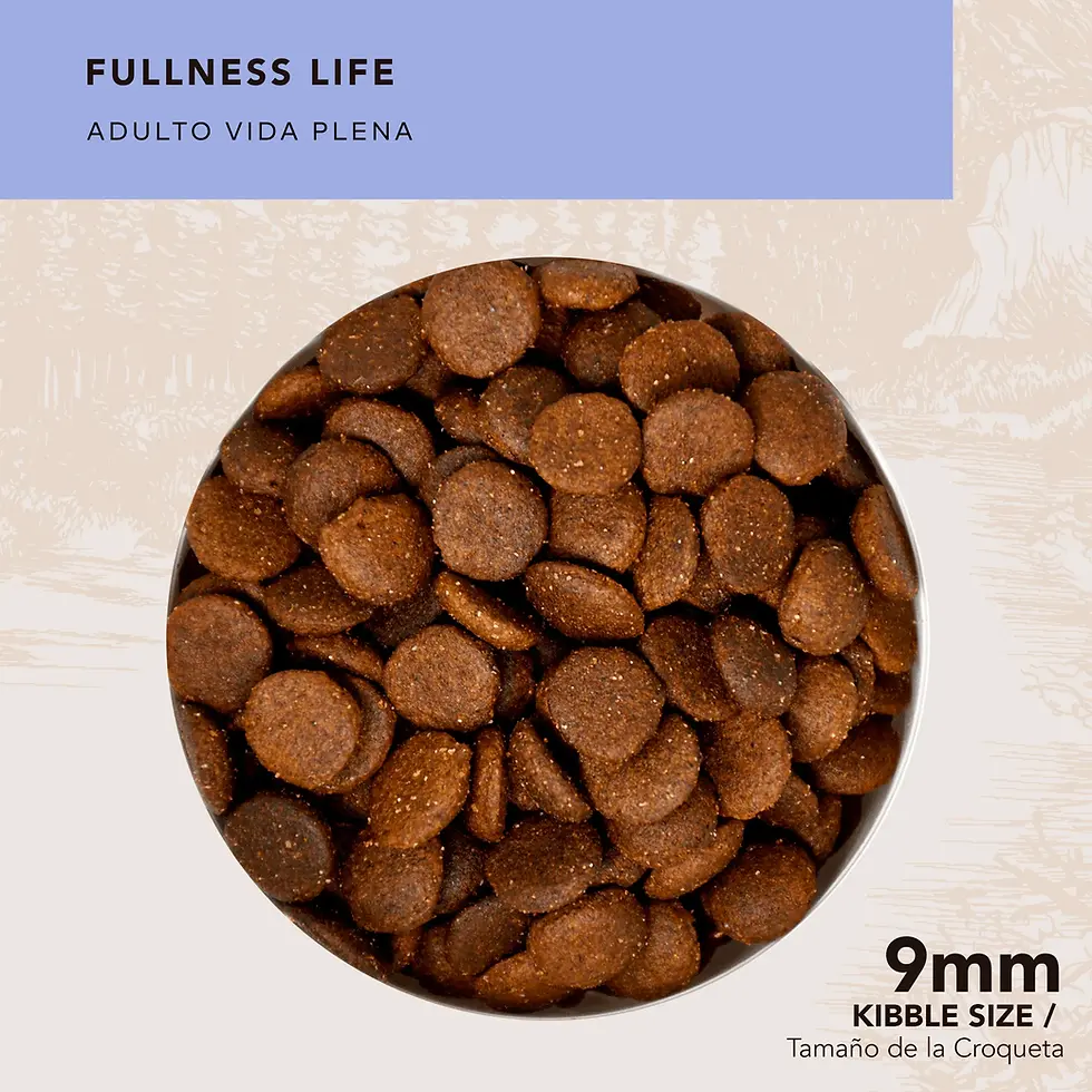 Miniatura: Back 2 Nature Vida Plena 2kg | GrandPet
