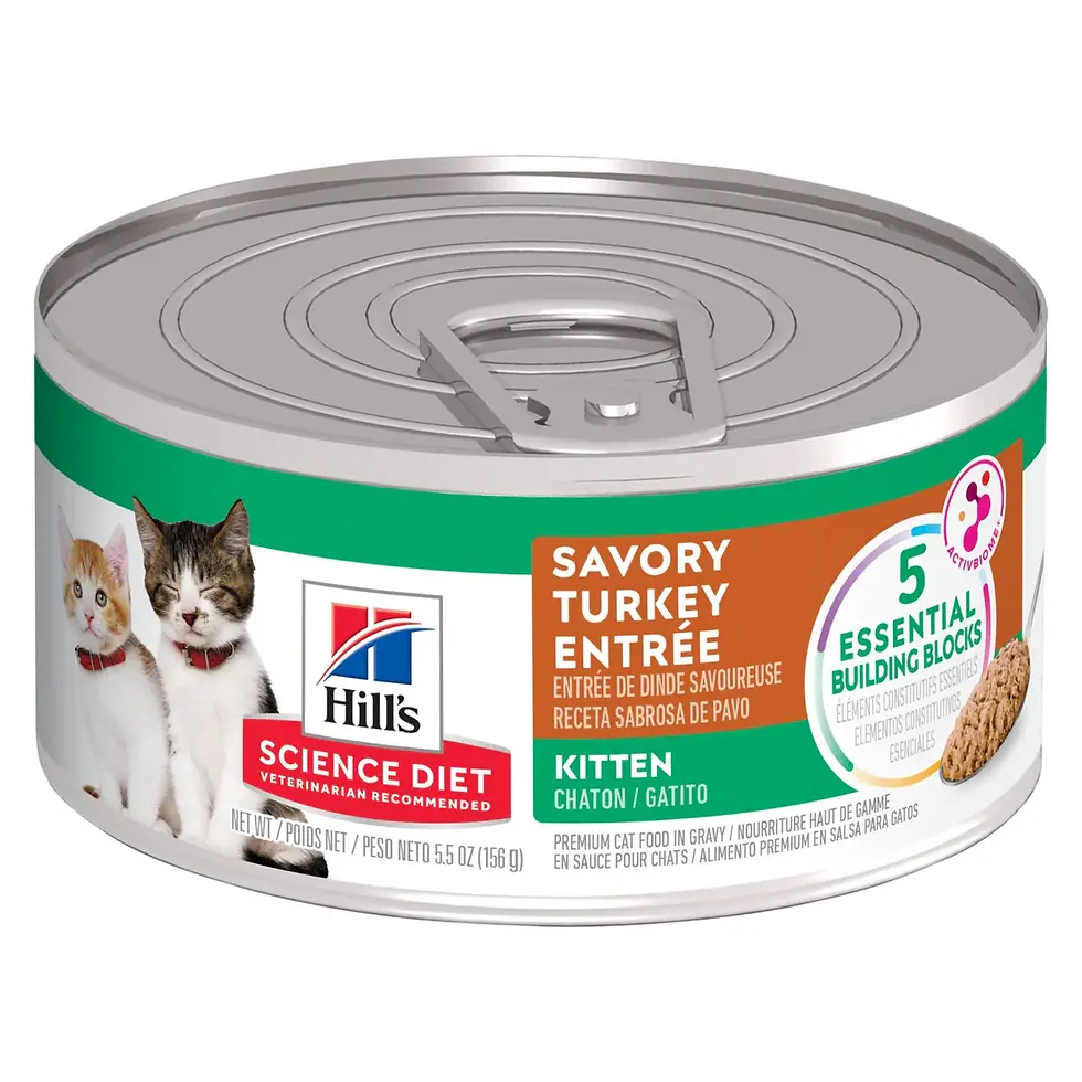 Hill's Science Diet Kitten Original receta de pavo lata 156g | Hill's