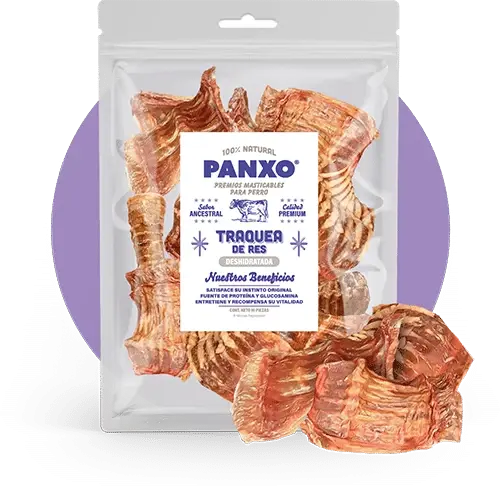 PANXO Tráquea de Res 10 piezas | Pet Galaxy