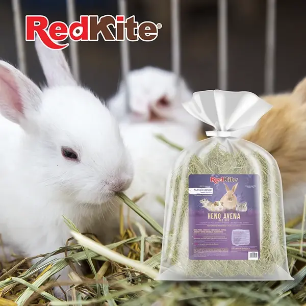 Miniatura: Heno de Avena 500g | Redkite