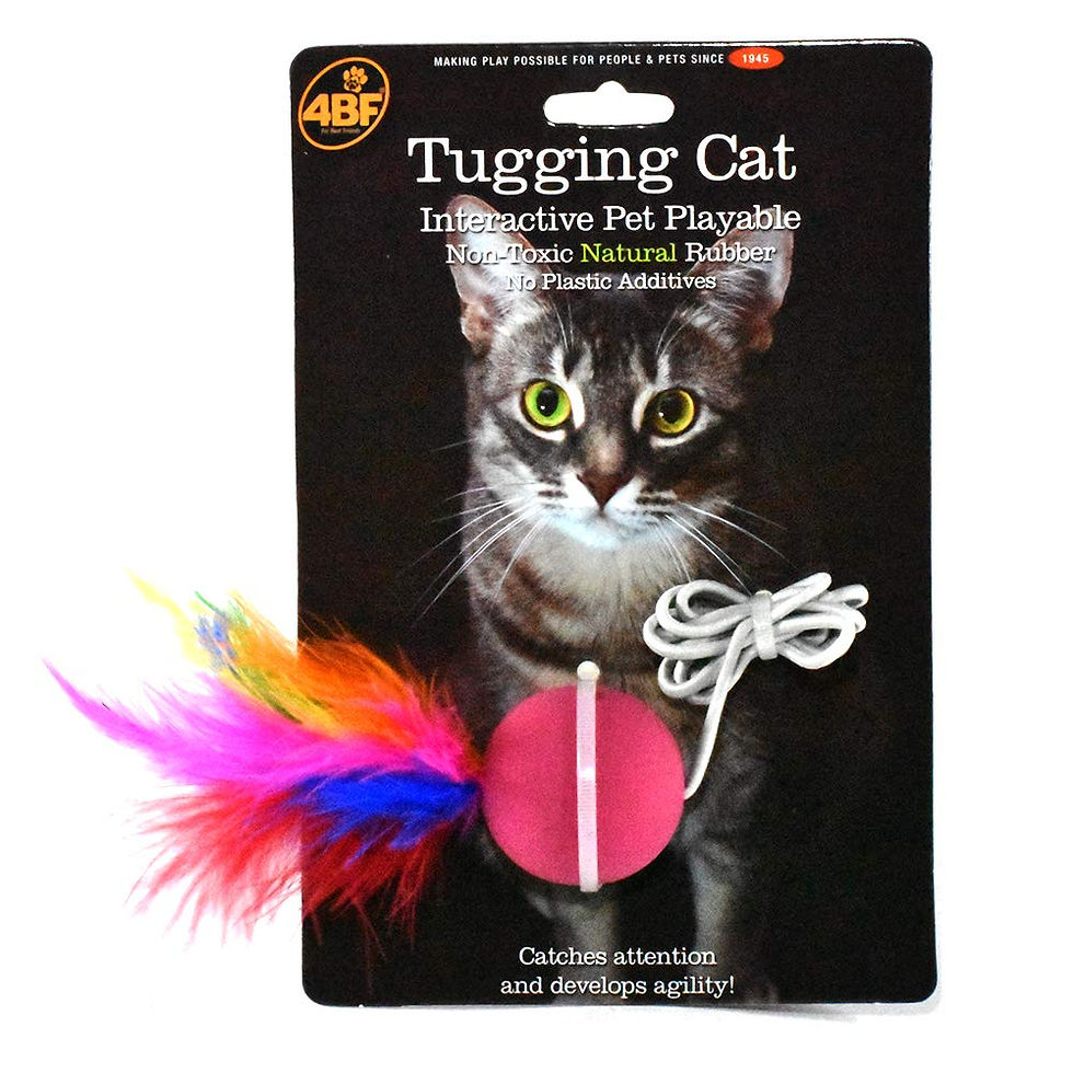 4BF Tugging Cat | 4BF