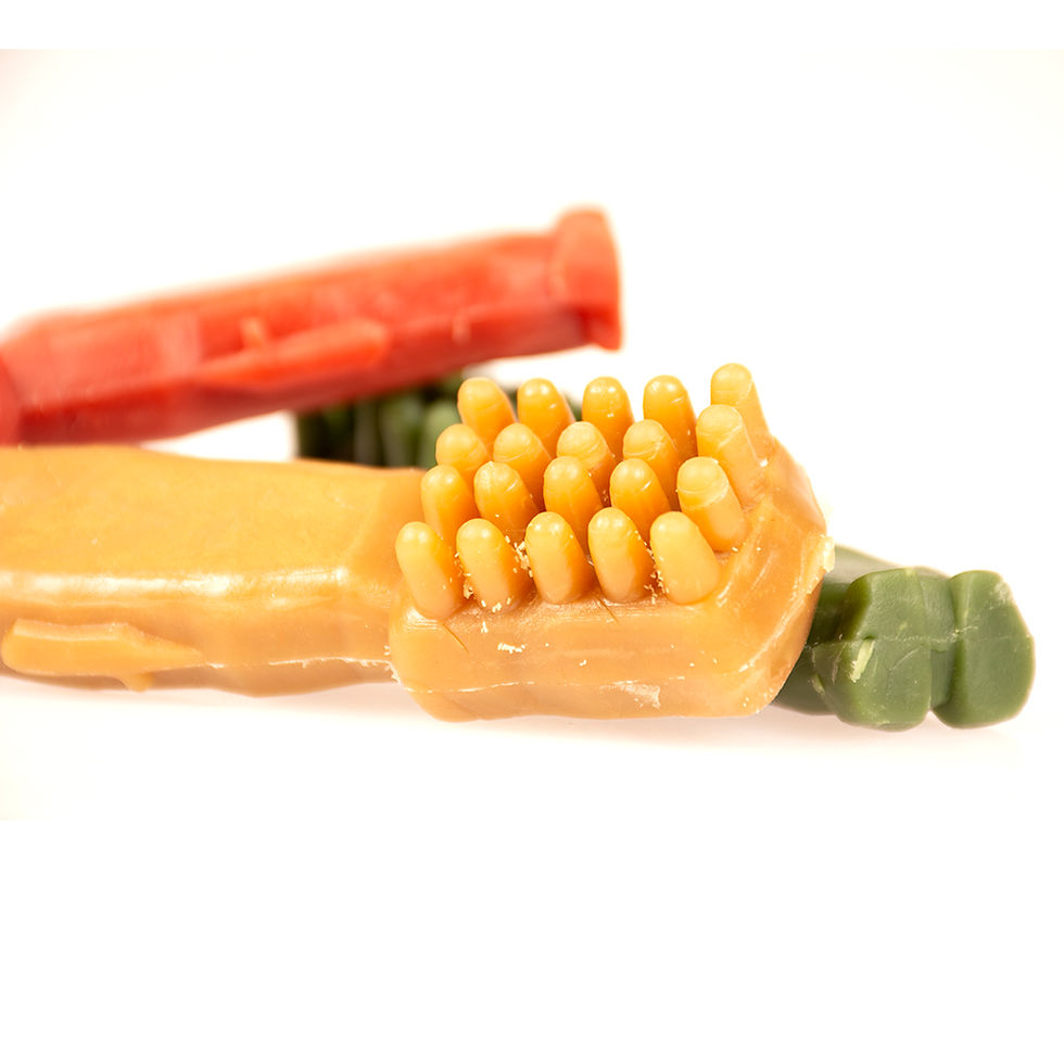 Toby Toothbrush S 50 piezas | Garden Bites