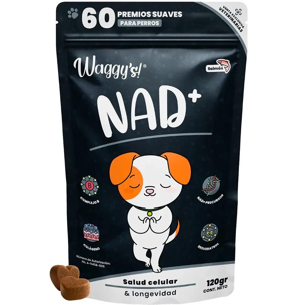 Waggy's® Premios suaves NAD+ Antienvejecimiento y Vitalidad 60 piezas | Waggy's!