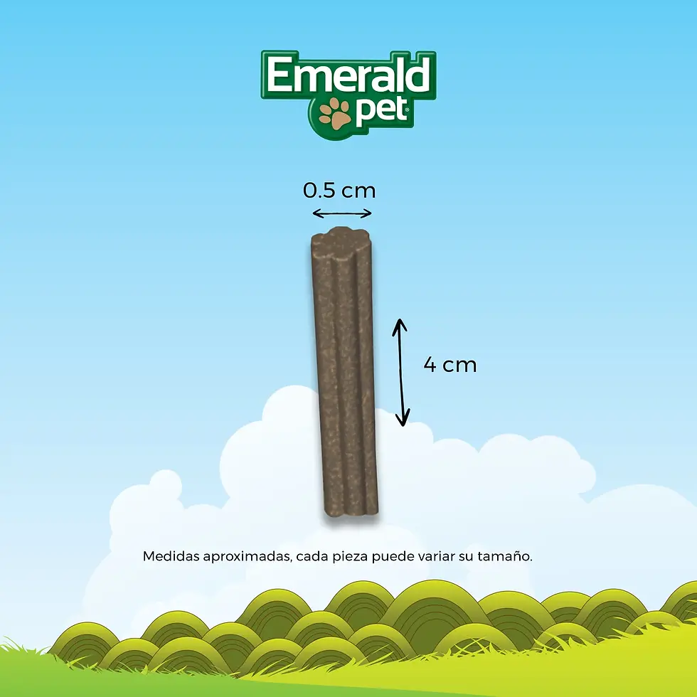Miniatura: Dental Stixx Catnip y Calabaza | Emerald Pet