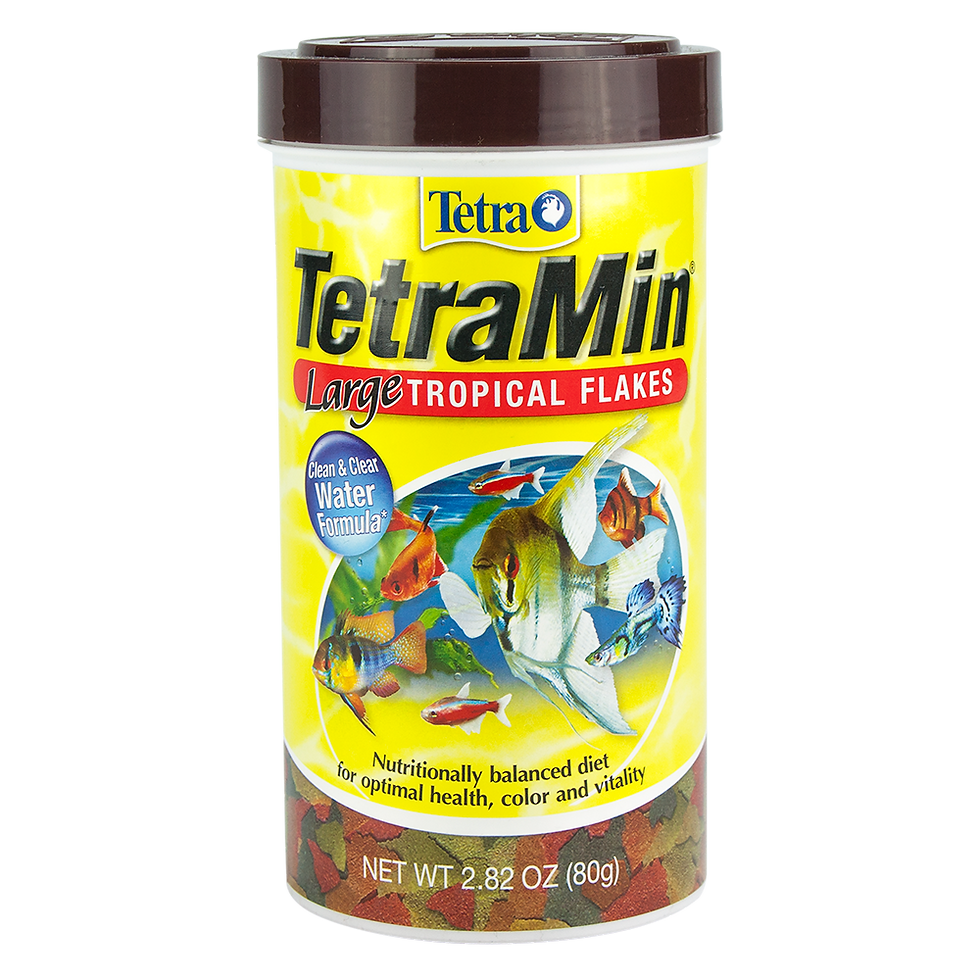 Tetramin Tropical Large flakes 80g | Tetra