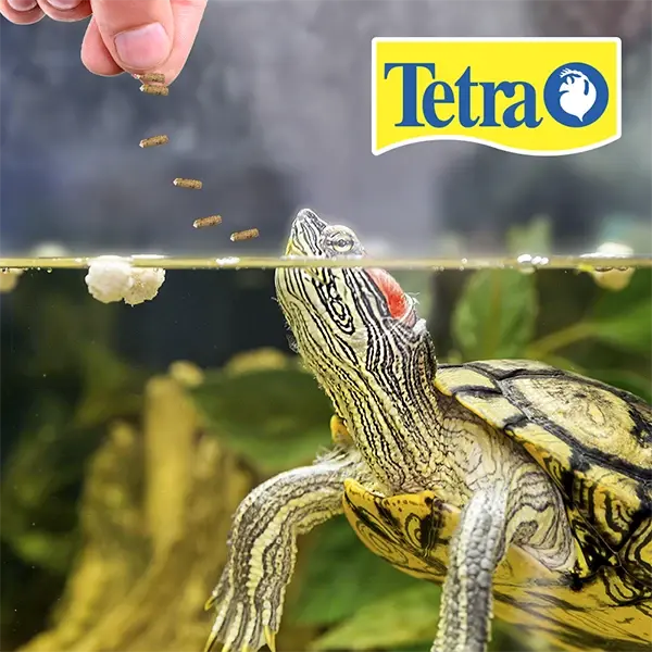 Dieta 3 en 1 para Reptiles y Anfibios ReptoMin Select-A-Food 44g - 1.5oz | Tetra