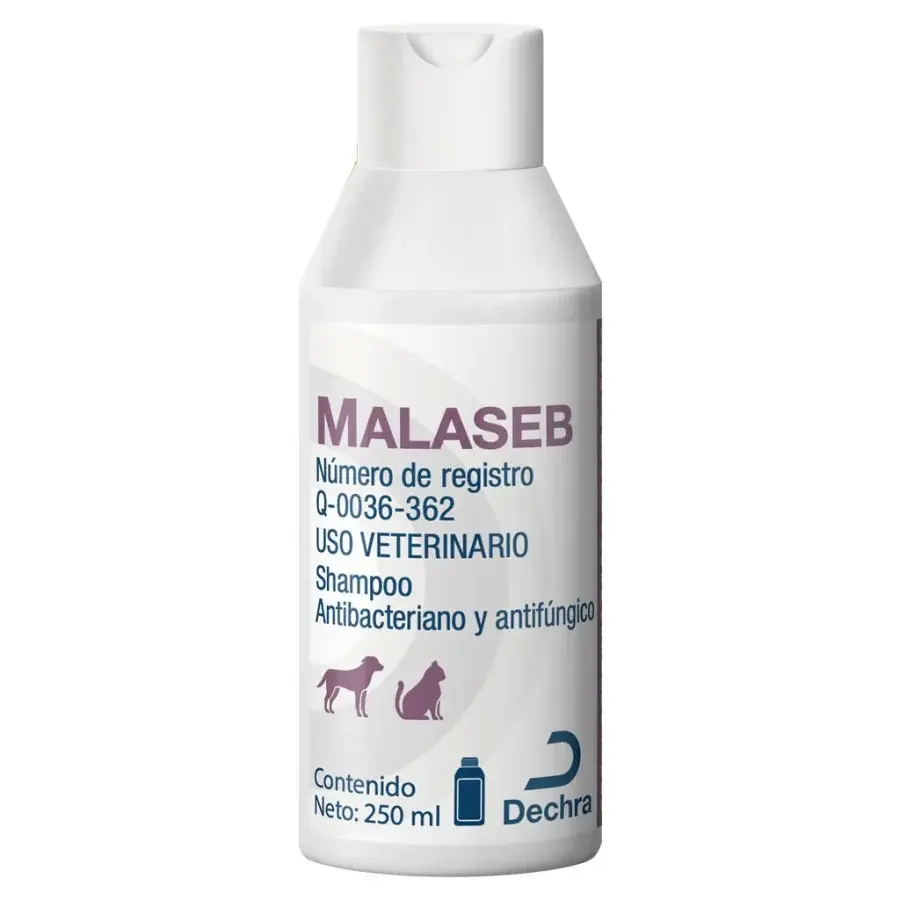 Malaseb® Shampoo Dermatológico Antifúngico y Antibacteriano 250 ml | Dechra