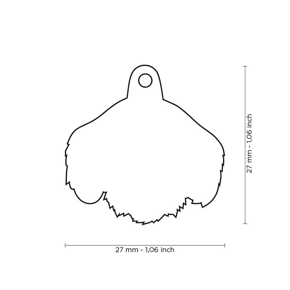 Placa de identificación Dachshund o Salchicha de Pelo Duro Negro | My Family
