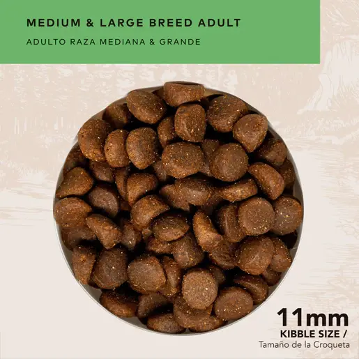 Back 2 Nature adulto raza mediana y grande 15kg | GrandPet