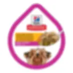 Hill's Science Diet Small & Mini Adult Estofado de Pollo y Vegetales Charola 99g | Hill's