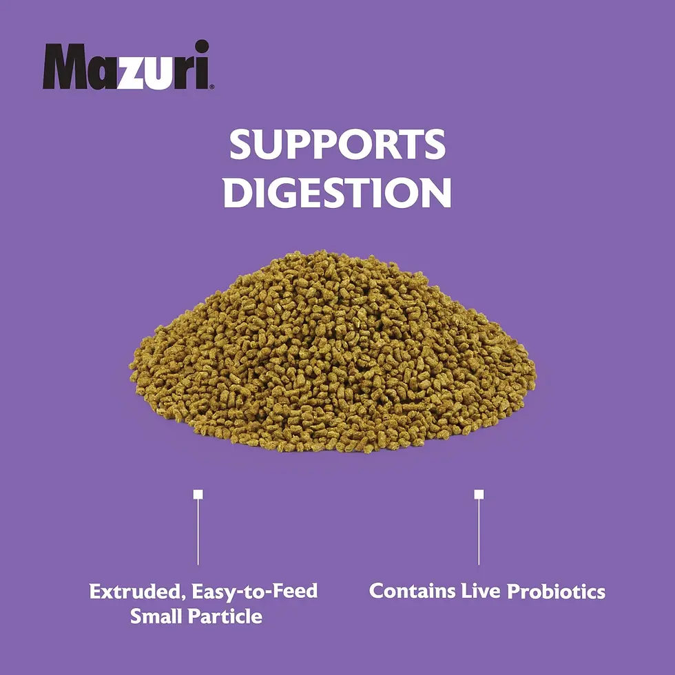 Mazuri Herbivorous Reptile Diet 25lb (11.33Kg) | Mazuri