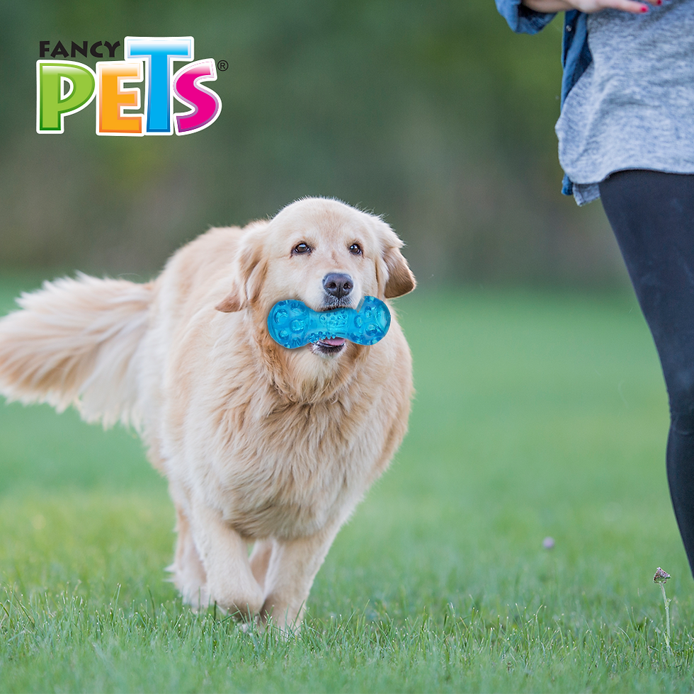 Miniatura: Juguete pesa flexible con sonido grande | Fancy Pets