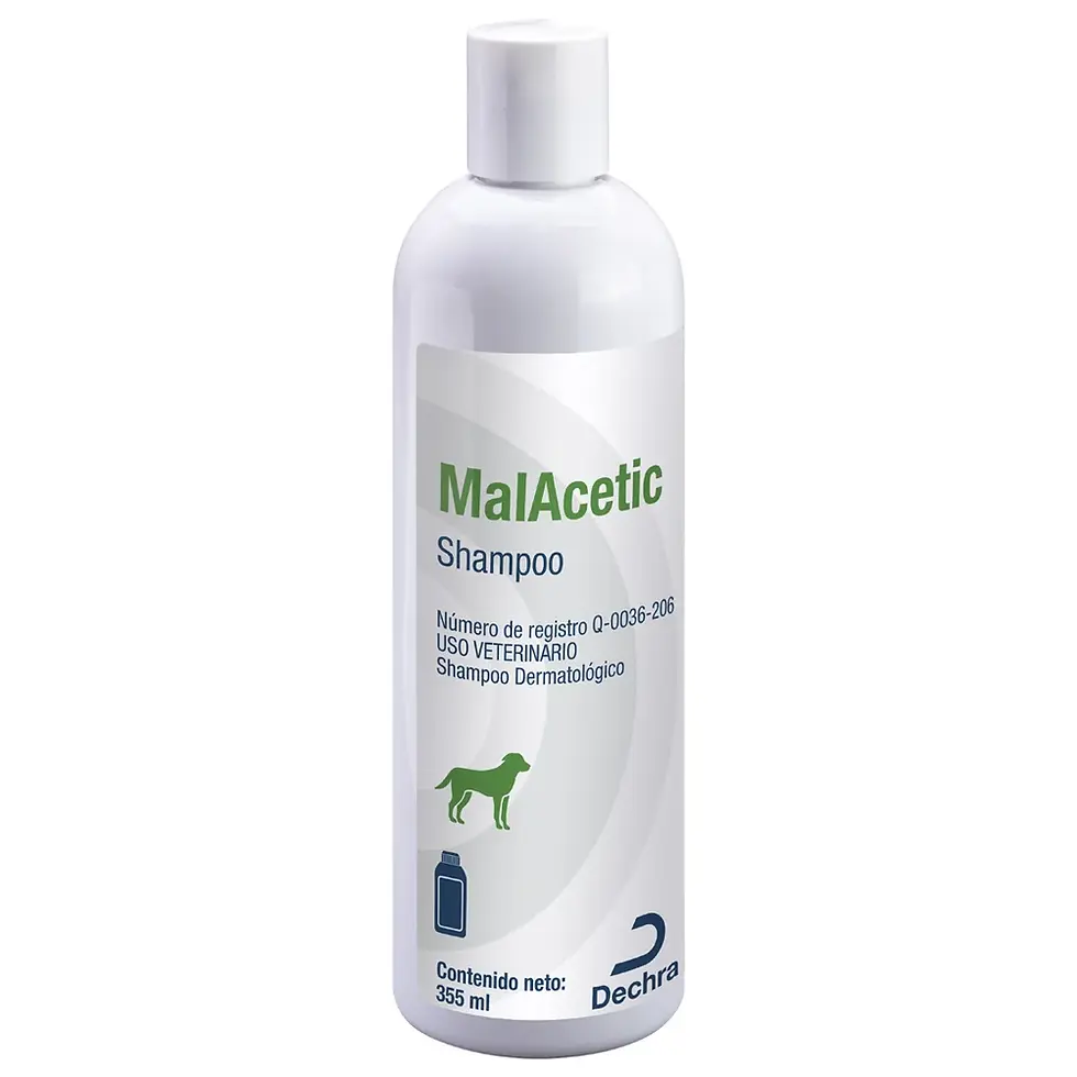 MalAcetic® Shampoo Dermatológico, Anti fúngico y Antibacteriana 355 ml | Dechra