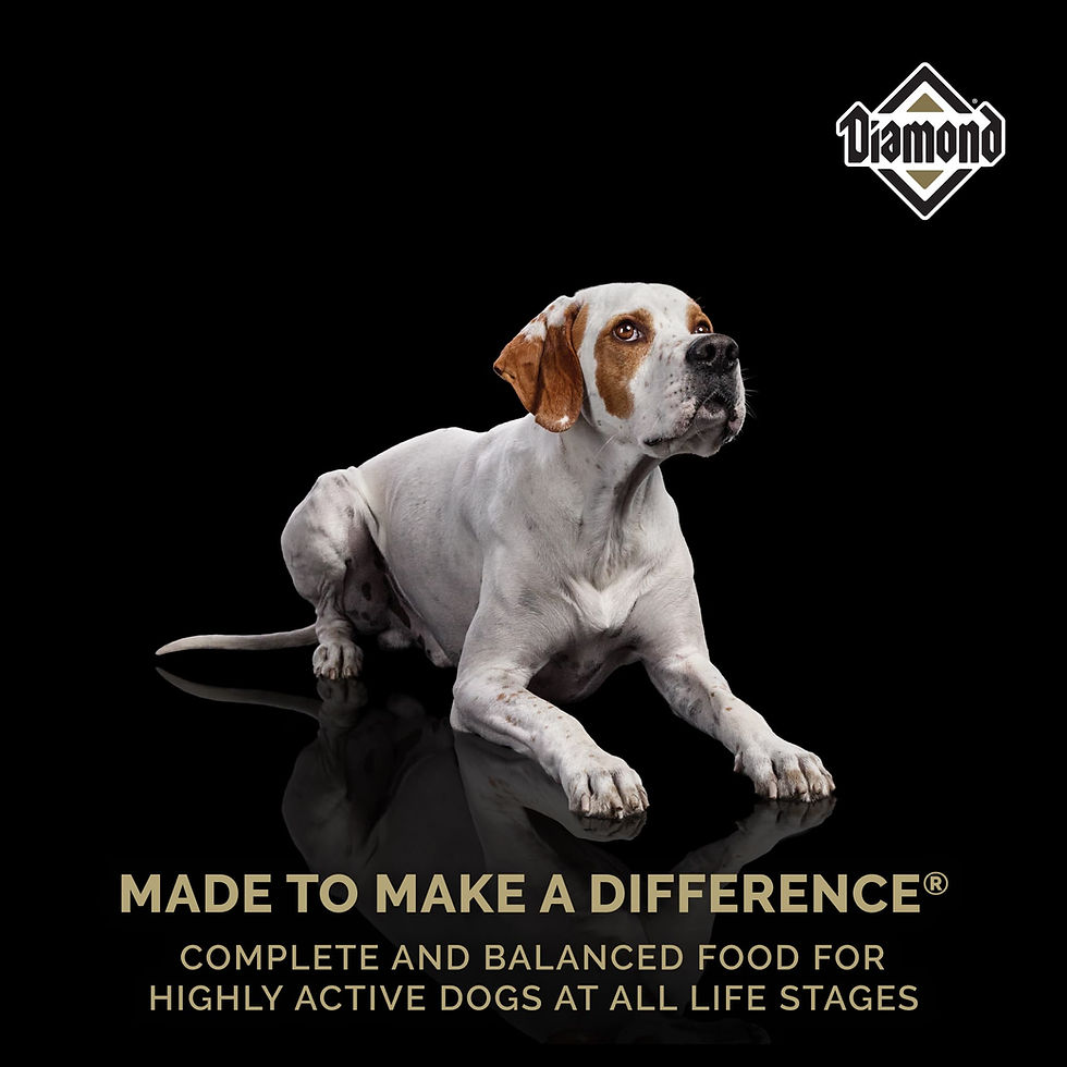Miniatura: Croquetas Diamond Performance para Perro Activo 18.14 kg | Diamond