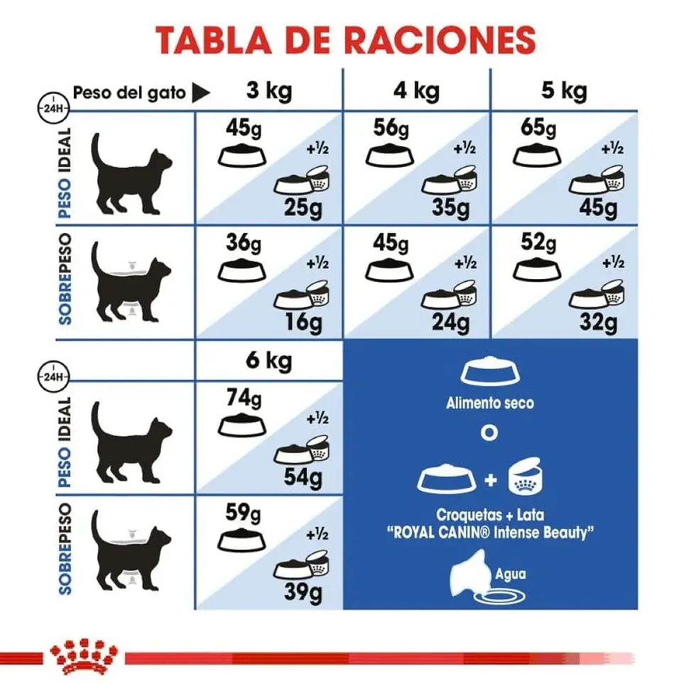 Miniatura: Royal Canin Indoor Adult | Royal Canin
