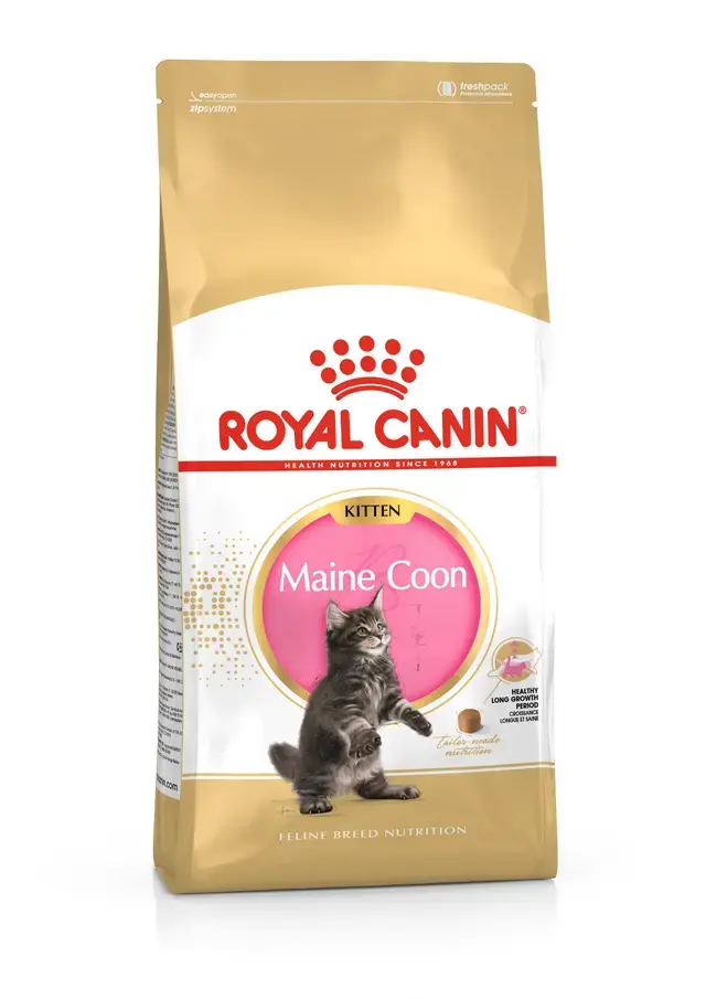 Royal Canin Maine Coon Kitten 1.37 KG | Royal Canin