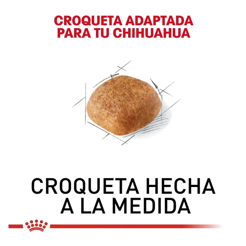 Miniatura: Royal Canin Chihuahua Adult | Royal Canin