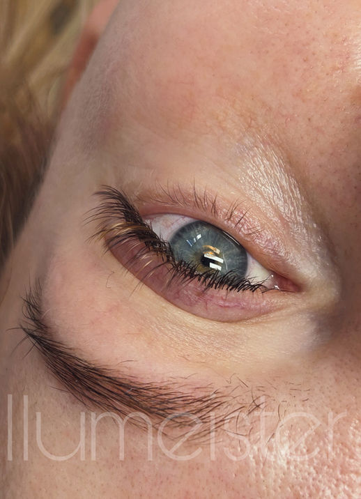 Erinevate pruunide toonidega klassikalised ripsmepikendused