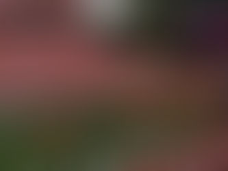 Gear Up for the Orange & White Game! Your Guide to a Perfect Football Weekend