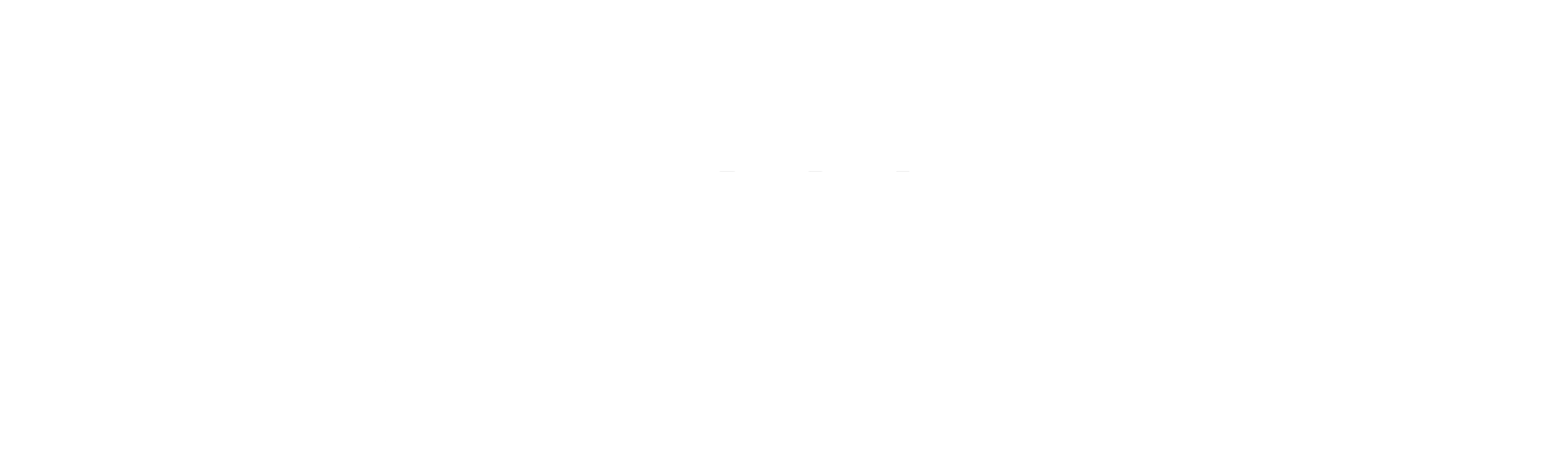 VASCO FERREIRA logo_edited_edited.png