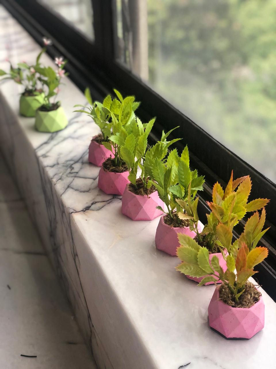 Thumbnail: Tall T-Light Planter