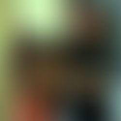 Gallery: Vet School in Ashland