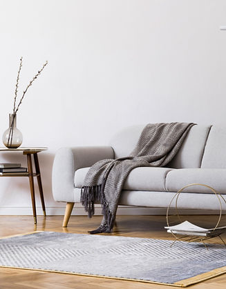 Modern Living Room _edited.jpg