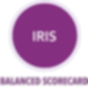 Product Features Over (IRIS).png
