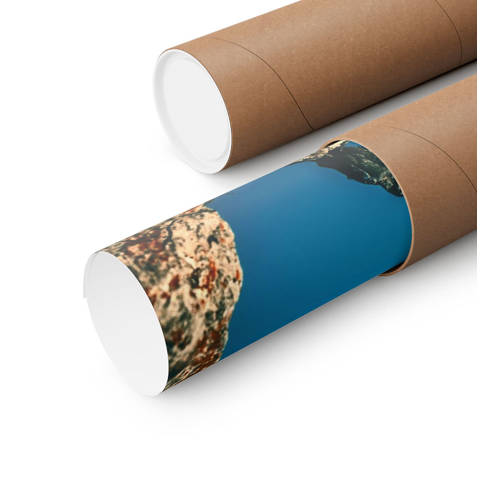 Thumbnail: Seabird on Cliff Matte Poster — Coastal Nature Wall Art (Horizontal)