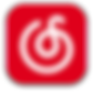 NetEase Music Logo