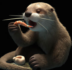 [A-009] Rosa Eats Shrimp for Months