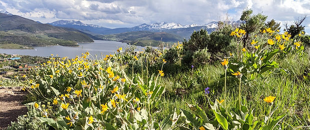 Trail-cropped.jpg