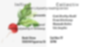 Influx-Reading (2).png