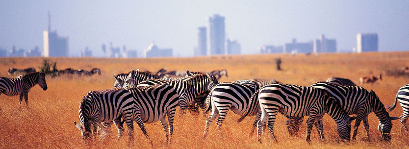 Welcome to Nairobi Kenya