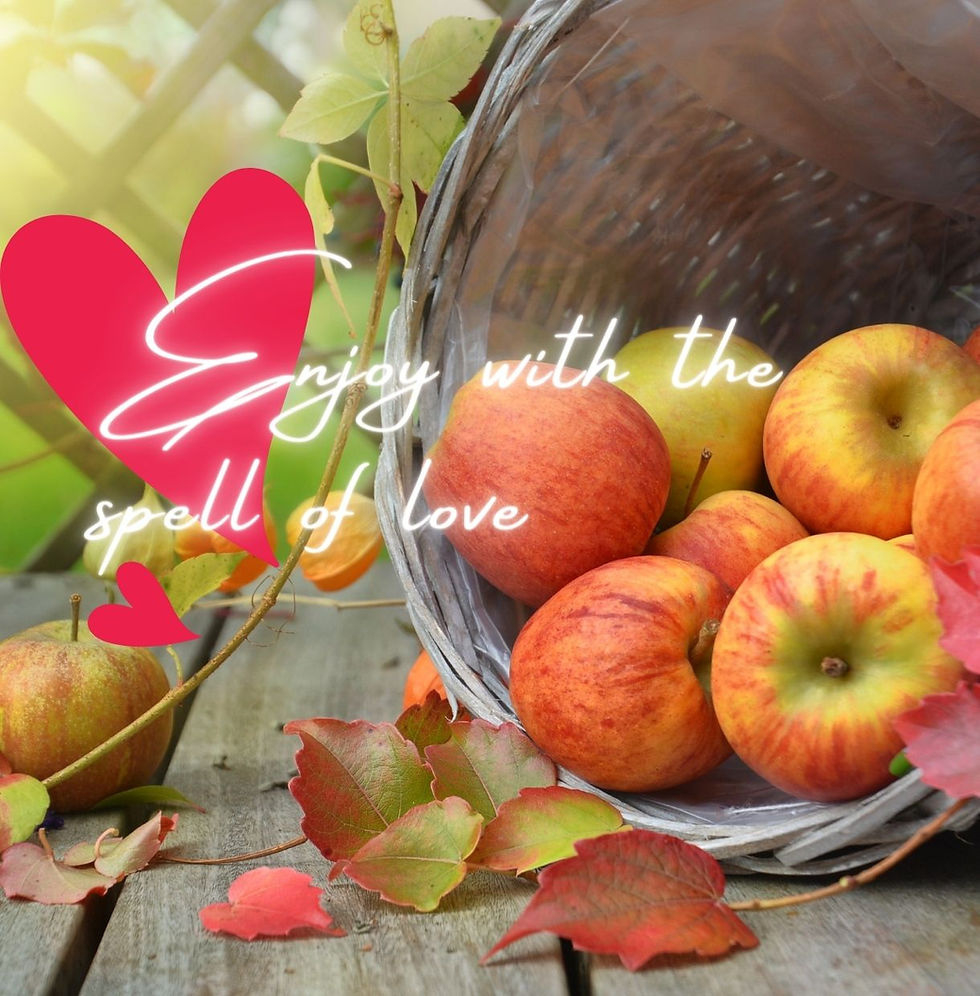 メイボンMABON(ウィッカンサバト)