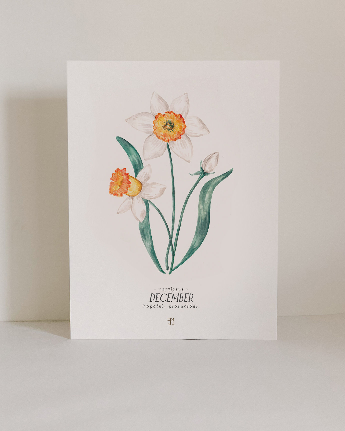 December Birth Flower