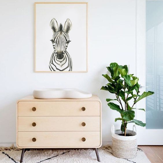 Thumbnail: Zoe the Zebra Print