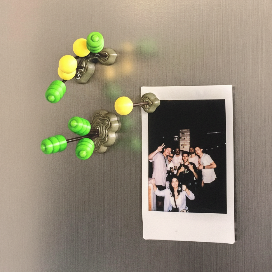 Magnet Kühlschrankmagnet im Busch Design Magnetwand | Geschenkidee Fans Pflanze