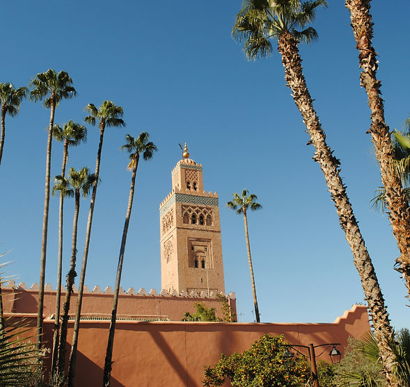 jr-harris-1Nr4XZzt6ds-unsplash (1).jpg