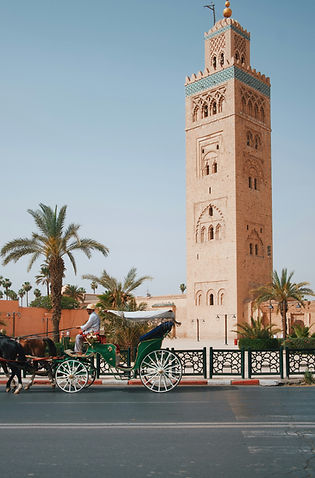 rumman-amin-bzFHhYKdIa0-unsplash (1).jpg