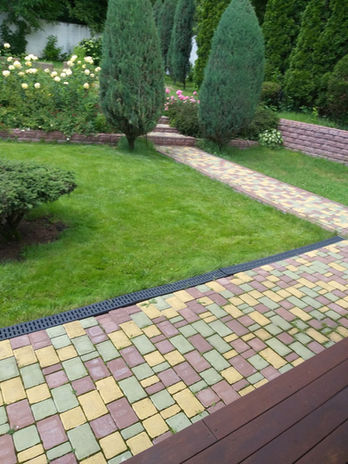 стрижка блуэрроу, скального можжевельника