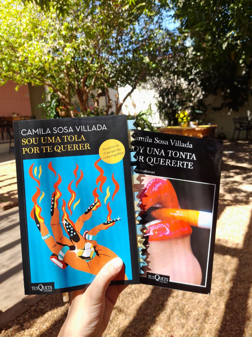 [Resenha] Sou uma tola por te querer de Camila Sosa Villada