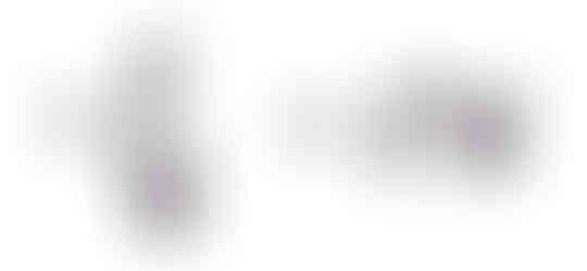 CW - Plum on White Vertical and Horizontal Initials and Logo