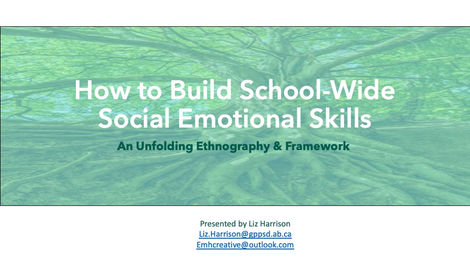 How to Build School-Wide Social Emotional Skills: An Unfolding Ethnography & Framework