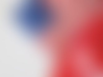 United States: What the 2024 Election Means for the World