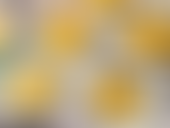 Keeping crypto calm: The rise of stablecoins