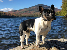 beast-pond-fall.jpeg